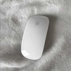 Apple Glossy White Mouse